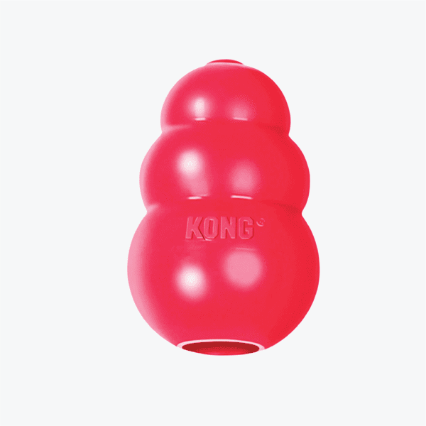 Kong Dog Toy