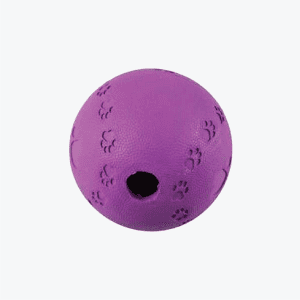 Puzzler Ball Dog Toy