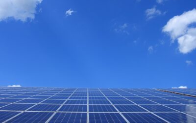 A Comprehensive Guide to Solar Energy for New Zealand Businesses