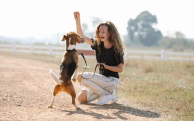 The Complete Guide to Puppy Training: Setting Your Pup Up for Success
