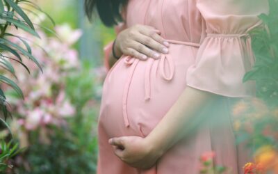 The Importance of Chiropractic Care During Pregnancy