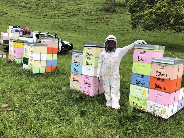 Beekeeper with beehives