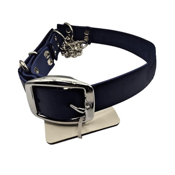 Martingale Dog Collar BIZWIN NZ