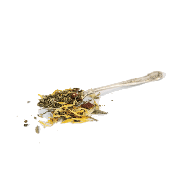 Morphosis Tea Herbs